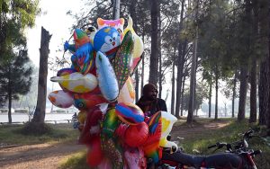 A vendor displaying balloons to attract customers in the Federal Capital.