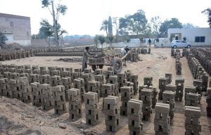 Labourer load raw bricks onto a bull cart for Baking bricks in a kiln on the outskirts of the city.