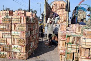 A vendor displays orange sacks for sale to attract customers at a fruit and vegetable market in the Federal Capital