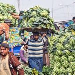 Labourers are busy unloading cauliflower from delivery truck at Pirwadhi Fruit and Vegetable Mark in Federal Capital