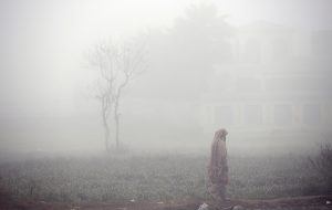 A dense blanket of fog envelops the entire Federal Capital during the early morning hours