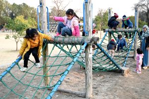 Children enjoying swings at a local park near F-6 sector