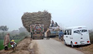 A heavily loaded tractor trolley carrying sugarcane to a sugar mill.