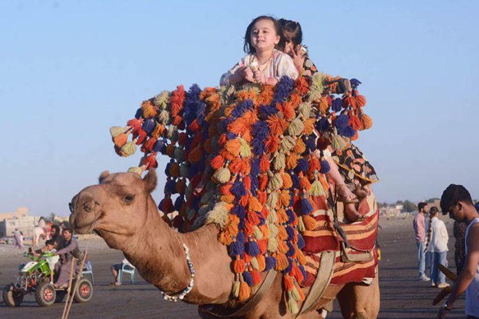Children enjoy a camel ride at Seaview beach