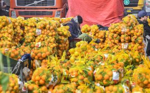 Labourers are busy unloading cauliflower from delivery truck at Pirwadhi Fruit and Vegetable Mark in Federal Capital