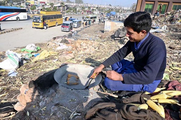 A vendor busy roasting corn cobs for customer at his setup in Pirwadhai