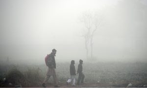 A dense blanket of fog envelops the entire Federal Capital during the early morning hours