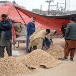 A distributor sells piles of groundnuts at a grain market to attract customers in the city
