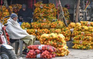 Labourers are busy unloading cauliflower from delivery truck at Pirwadhi Fruit and Vegetable Mark in Federal Capital