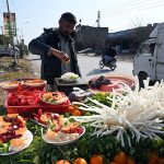 A vendor displaying salad to attract customers along roadside in the Federal Capital
