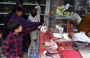 Children show keen interest while shopping for rabbits and birds at the weekly bazaar in the federal capital