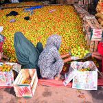 Women labourers busy packing tomatoes into wooden boxes at a vegetable market.
