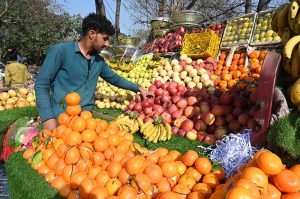 A vendor displaying salad to attract customers along roadside in the Federal Capital