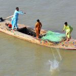 A fisherman busy throwing net for catching fish in Indus River