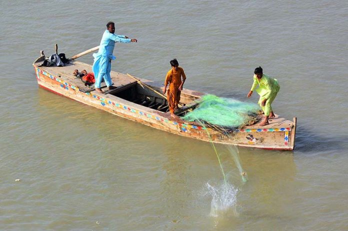 A fisherman busy throwing net for catching fish in Indus River