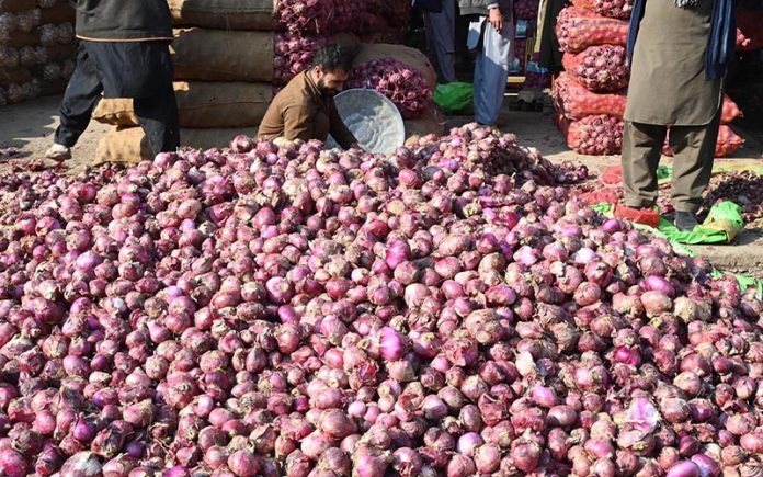 A Laborer busy sorting good quality onions at vegetables Market in Federal Capital