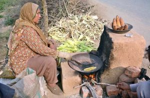 A woman vendor roasts corn at a roadside stall for selling, attracting customers with its aroma.