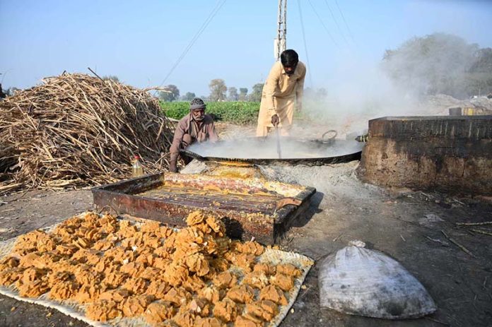 Workers busy making sweet jaggery (gur) at his roadside setup