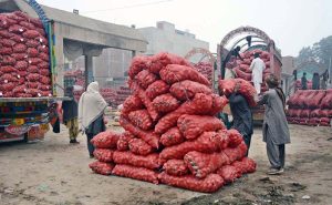 Labourers are busy unloading potato sacks from the delivery truck at Vegetable Market.