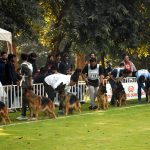 People along with their pets participating in dog show organize by PHA at local Park in the Provincial Capital