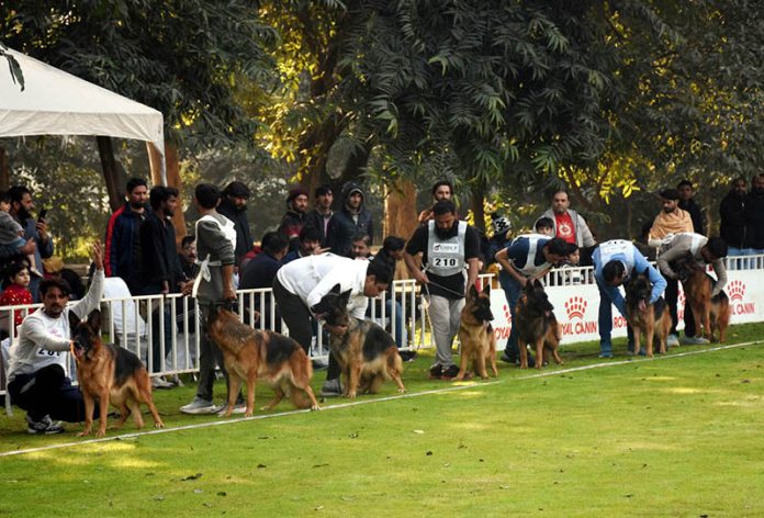People along with their pets participating in dog show organize by PHA at local Park in the Provincial Capital
