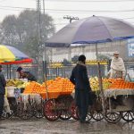 Vendors cover their fruit carts with umbrellas to protect from rain at Haji Camp.