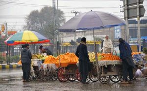 Vendors cover their fruit carts with umbrellas to protect from rain at Haji Camp.