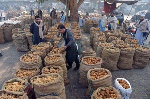 Labourers weigh traditional jaggery “Gur” for sale at Gur Mandi, meeting the city’s winter sweet cravings