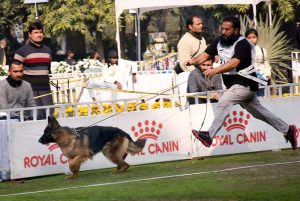 People along with their pets participating in dog show organize by PHA at local Park in the Provincial Capital