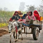 Gypsy women on their way on donkey driven cart to their destination