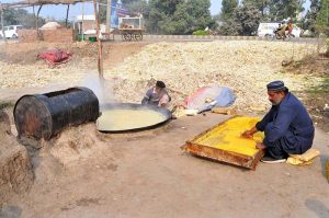 Workers prepare traditional gur (jaggery) by boiling sugarcane juice in large pans at a roadside setup.