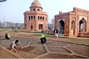 PHA worker busy planting saplings as plantation work continues around the Monument in Shahdara.