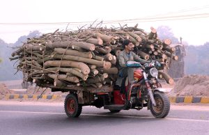 A labourer transports a large load of cut tree logs on a motorcycle rickshaw while moving along a city road