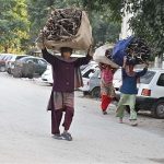 Women carry bundles of dry tree branches on their heads along a roadside to use as firewood for domestic purposes in the federal capital