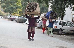 Women carry bundles of dry tree branches on their heads along a roadside to use as firewood for domestic purposes in the federal capital