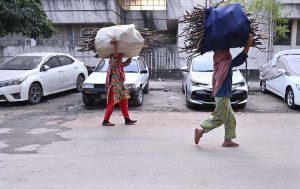 Women carry bundles of dry tree branches on their heads along a roadside to use as firewood for domestic purposes in the federal capital