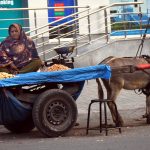 A woman sells a variety of dry fruits from her donkey cart along the roadside near Mall Road