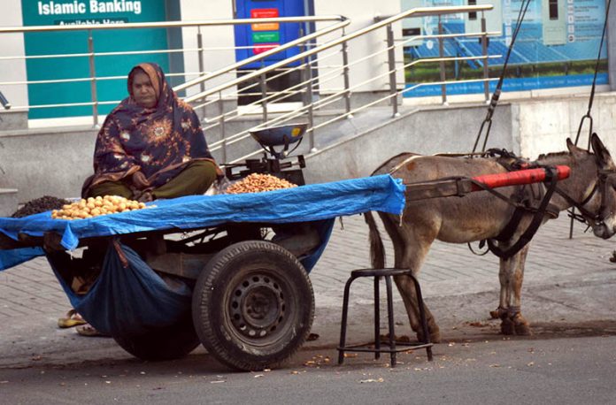 A woman sells a variety of dry fruits from her donkey cart along the roadside near Mall Road