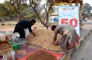 A roadside vendor displays various varieties of dry fruits, attracting the attention of passersby with seasonal offerings.