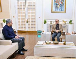 Federal Minister for Interior Syed Mohsin Raza Naqvi called on Prime Minister Muhammad Shehbaz Sharif.