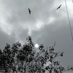 Thick clouds hover over the sky of the provincial capital