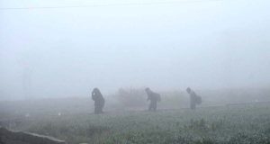 A view of thick fog that engulfs the Federal Capital during morning time