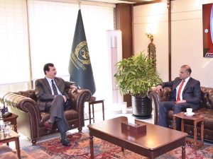Acting President Syed Yousuf Raza Gilani in a meeting with newly elected Senator Abid Sher Ali at the Parliament House in the federal capital