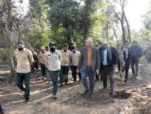Federal Minister for Climate Change and Environmental Coordination Dr. Musadik Malik visits Shakarparian, where paper mulberry trees were recently removed and native trees planted .