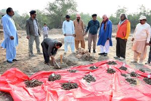 Labourers are busy in excavation work under the supervision of American archaeologist Prof. Dr. Jonathan Mark Kenoyer at the world-famous archaeological site of Mohenjo-daro