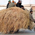 An overloaded loader rickshaw carrying husk moves along CMC Road, with passengers sitting on top of the load in a dangerous manner, posing a risk of mishap.