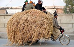 An overloaded loader rickshaw carrying husk moves along CMC Road, with passengers sitting on top of the load in a dangerous manner, posing a risk of mishap.