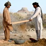 Labourers busy in cleaning the soil during excavation work under the supervision of American archaeologist Prof. Dr. Jonathan Mark Kenoyer at world famous archeological site of Mohen jo-Daro
