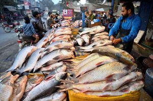 Vendor displaying and selling fish to attract the customers outside his shop at local market in the Provincial Capital