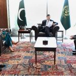 Chairman Senate, Syed Yousuf Raza Gilani in a meeting with the country director of Save the Children Pakistan at Parliament House.